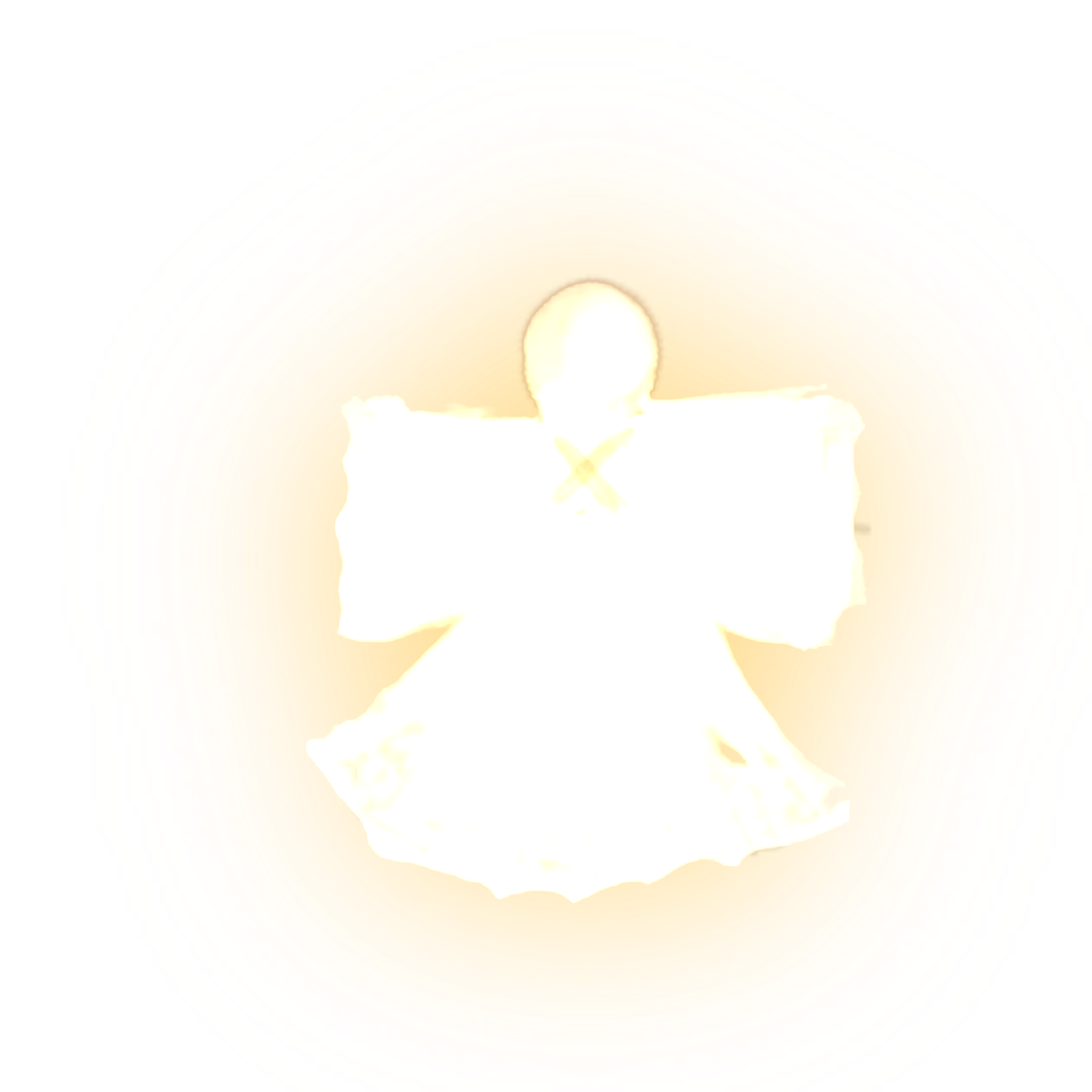 Ornament 5